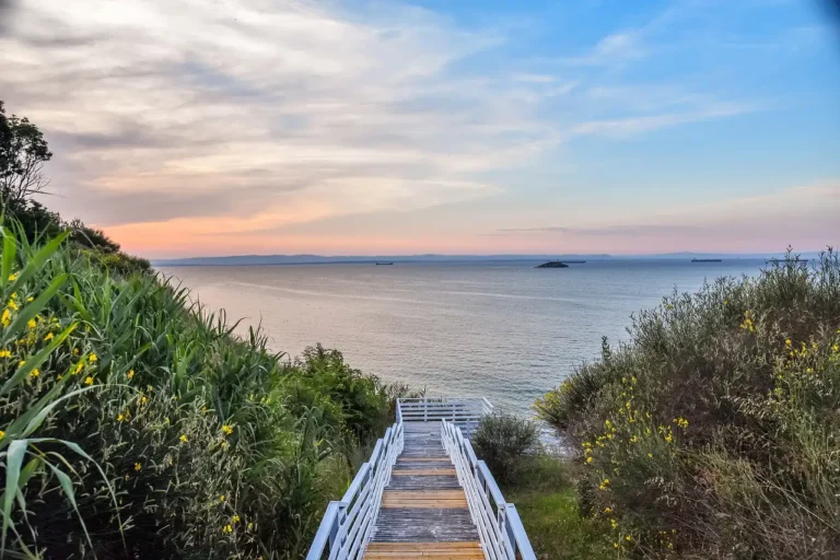 Kanada Hakkında Bilmeniz Gerekenler: Yaşam, Eğitim ve Kültür