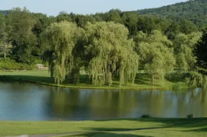 Lübnan Vize Başvurusu: Bilmeniz Gerekenler