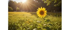 Londra Nerede Konumlanıyor?