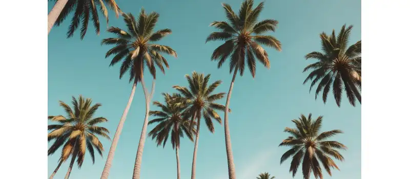 Mauritius Nerede? Nasıl Gidilir? Coğrafi Konumu ve Ulaşım İpuçları