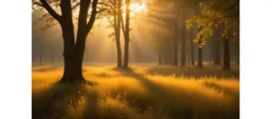 Prag Gezi Rehberi: Orta Avrupa’nın İncisi Prag’ı Keşfedin!