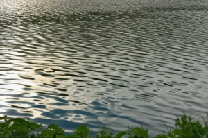 Rüyada Bir Şey Döküldüğünü Görmek: Anlamları ve Derin Yorumları