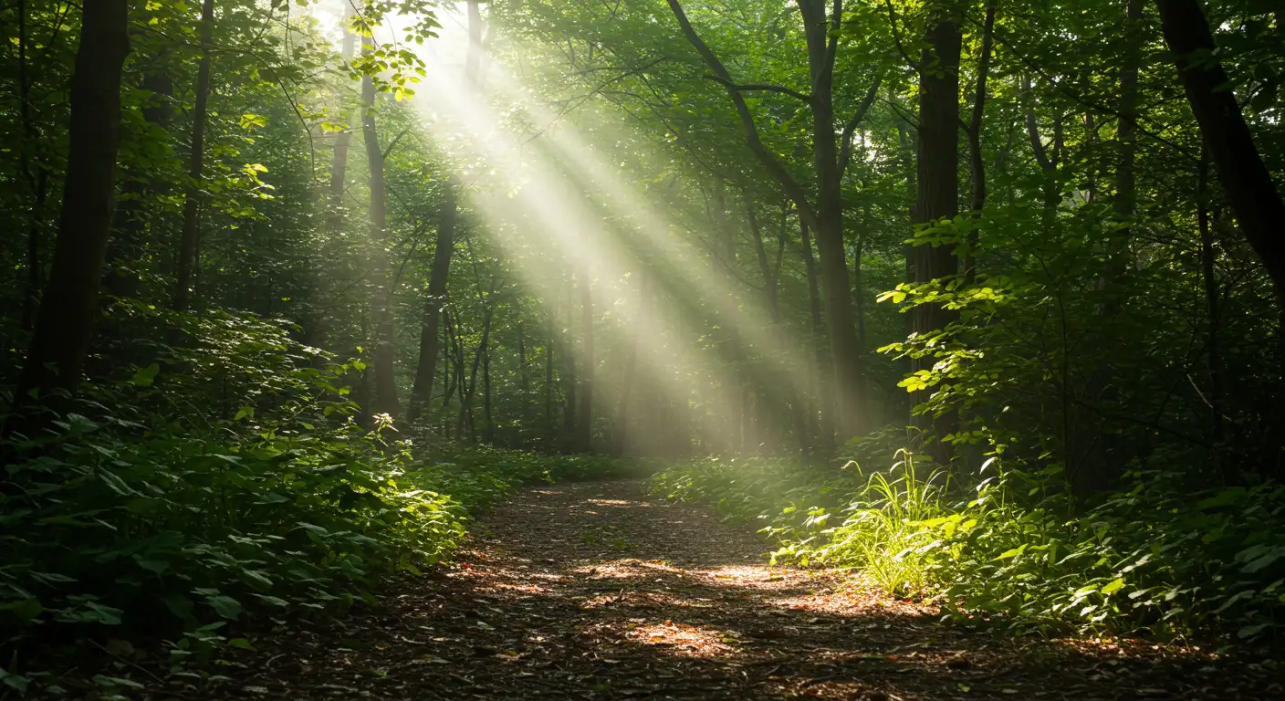 Kinoa Nedir? Zayıflamaya Etkisi ve Sağlıklı Kullanım Rehberi