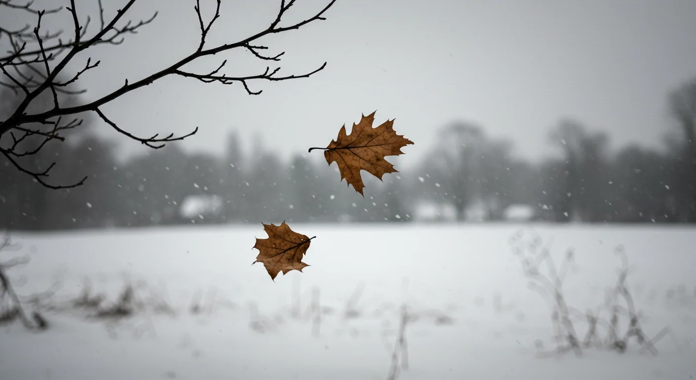 Depresyon Sözleri: Ruhun Derinliklerinden Yükselen Yankılar